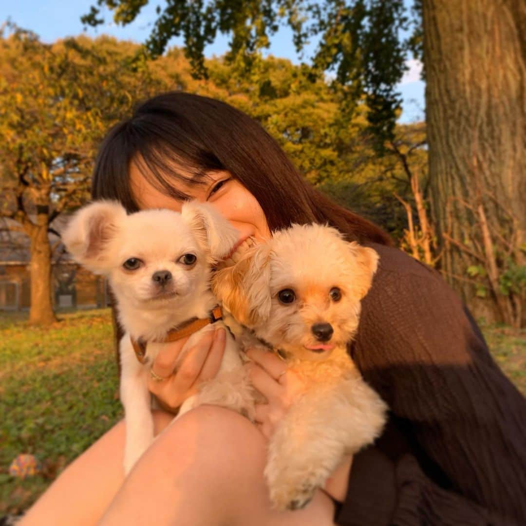 田中芽衣（めいめろ）さんのインスタグラム写真 - (田中芽衣（めいめろ）Instagram)「親友こっちゃんと愉快な仲間たち🦆」10月9日 20時24分 - mei_tnk