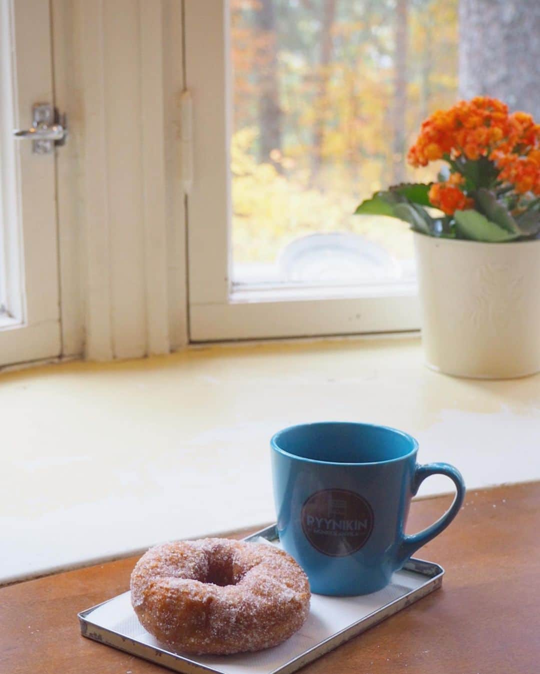 猪鼻ちひろさんのインスタグラム写真 - (猪鼻ちひろInstagram)「🍩☕️﻿ (冬コーデや旅の参考になれば…💭﻿ 6枚目に全部タグ付けしてます)﻿ ﻿ アウターは薄手のインナーダウン&MA-1と 厚手のムートンとコレ持っていきました！(多すぎ😂)﻿ 靴はブーツ、ビーサン(サウナ用)、ランニングシューズの３つです👟﻿ ﻿ 大活躍だったアウターその2がこちらです。﻿ (その1はブログにてお先にどうぞ！)﻿ ●コーデ詳細﻿ ●美味しかったパンみたいなドーナツ﻿ ●その屋上から見えた絶景﻿ ●可愛かったサウナハット﻿ ●ウェルネスマーケットでの写真も🧖🏻‍♀️﻿ ちなみに、色味など加工してない写真が6枚目です。﻿ #急にまとめて載せる感﻿ #どうでしょうか﻿🤣 #ちひろのお洋服#ちひろtripフィンランド」10月9日 21時38分 - inohanachihiro