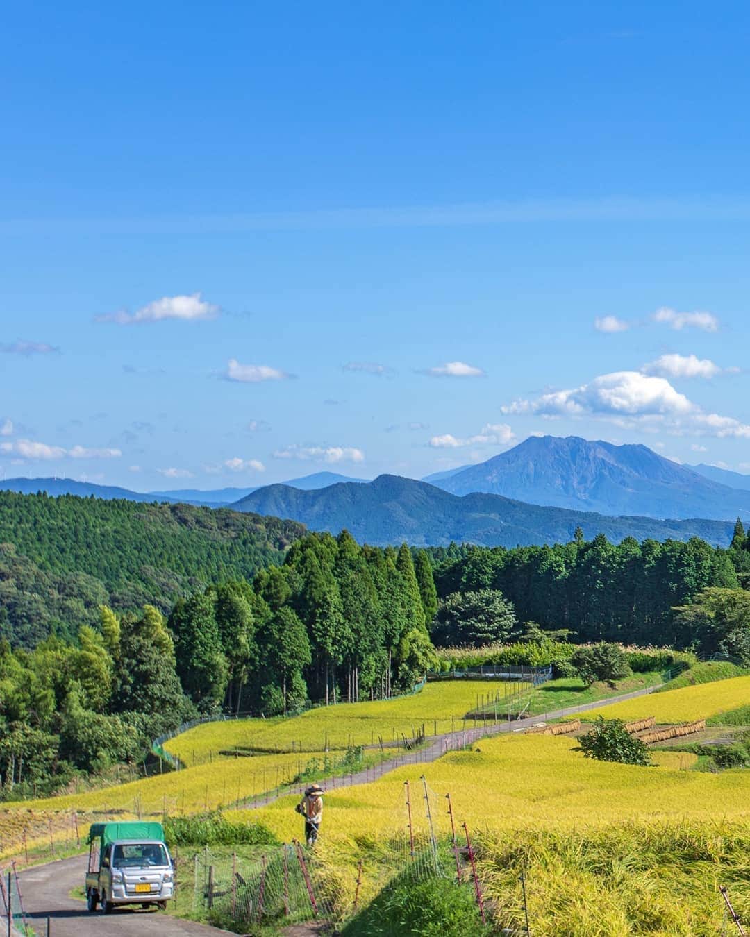 鹿児島よかもん再発見のインスタグラム：「鹿児島市郡山町にある八重の棚田へ(^-^)/ 彼岸花の季節が終わったら稲刈りシーズンの到来ですね。  八重の棚田の稲も黄金色で美しく、また、遠く桜島をのぞむ素晴らしい風景が広がってました(^-^)v  #鹿児島 #鹿児島観光 #棚田 #八重の棚田 #桜島 #どんどん鹿児島 #田んぼ #鹿児島の風景 #japan #kagoshima #country #鹿児島愛最強写真展」