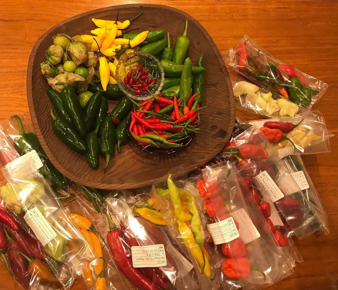 栗原友さんのインスタグラム写真 - (栗原友Instagram)「今夜は @peppers_jp で買った世界中の唐辛子を使って創作料理。」10月9日 22時19分 - kuri__tomo