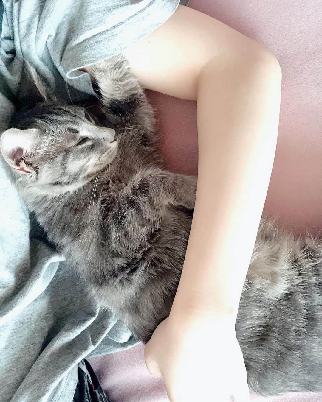 サニー のインスタグラム：「잠에 취한 후추..... #헤롱헤롱 #후추」