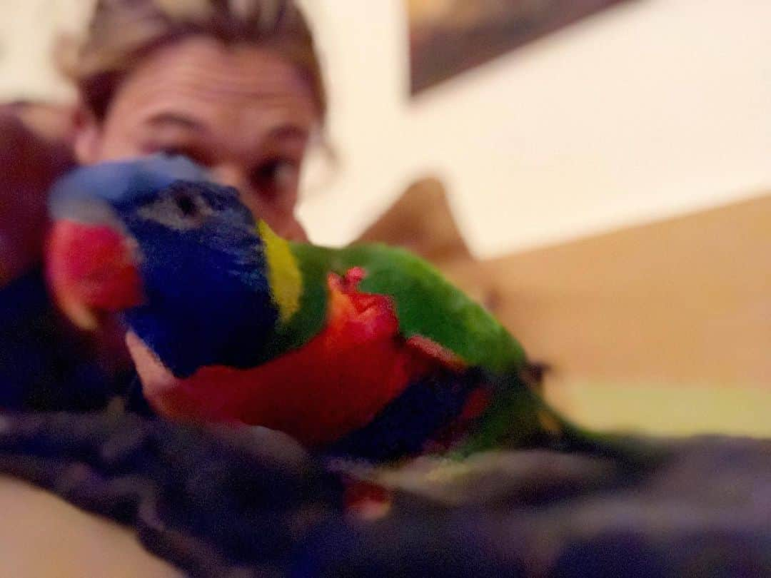 ヴァレンティナ・アリゲッティのインスタグラム：「Blurry Happiness 🌈  #pride #ciaomeraviglia #therainbowflock #solofigaccioni #lorichettoarcobaleno #rainbowlorikeet」