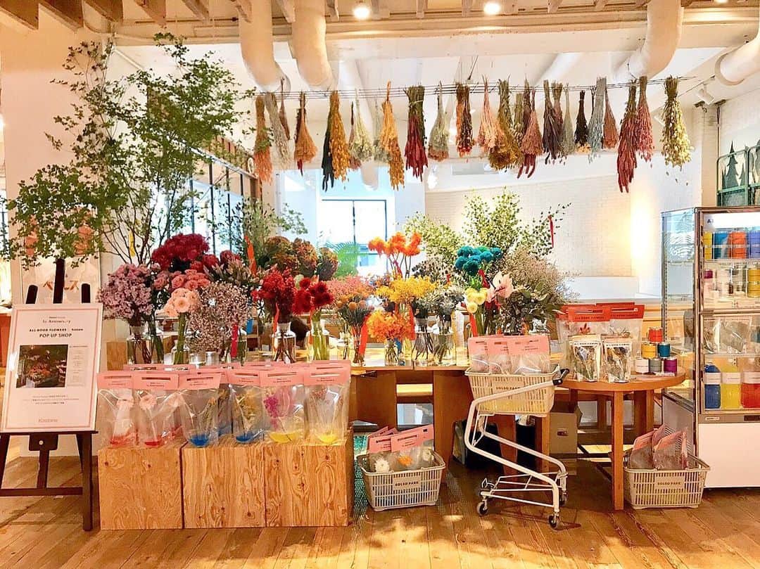 miho uesugiさんのインスタグラム写真 - (miho uesugiInstagram)「@allgoodflowers  POP UP SHOP 💐  ㅤㅤㅤㅤㅤㅤㅤㅤㅤㅤㅤㅤㅤ 本当に素敵な場所になり感動しました。  お花を選ぶ皆さまのお顔があたたかく、私まで幸せな気持ちになりました。  ㅤㅤㅤㅤㅤㅤㅤㅤㅤㅤㅤㅤㅤ ご来店ありがとうございました🙇‍♂️✨ ㅤㅤㅤㅤㅤㅤㅤㅤㅤㅤㅤㅤㅤ ㅤㅤㅤㅤㅤㅤㅤㅤㅤㅤㅤㅤㅤ  #Kastane #Kastane原宿by店 #allgoodflowers」10月9日 23時45分 - uepoooning