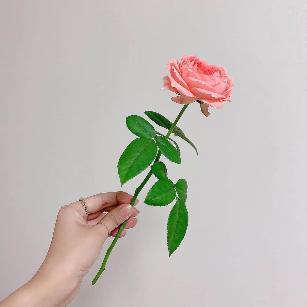 Sayakaのインスタグラム：「* 可愛いピンクのバラ La Chance🌹💕 . ラ・シャンスはフランス語で 『幸運』の意味☺️ 皆さまに幸運が訪れますように✨ . . #flower #flowers #flowerlovers #floweroftheday #flowerstagram #flowerarrangement #rose #pink #sayakasflower #花 #薔薇 #バラ #ローズ #ラシャンス  #花のある暮らし #花のある生活」
