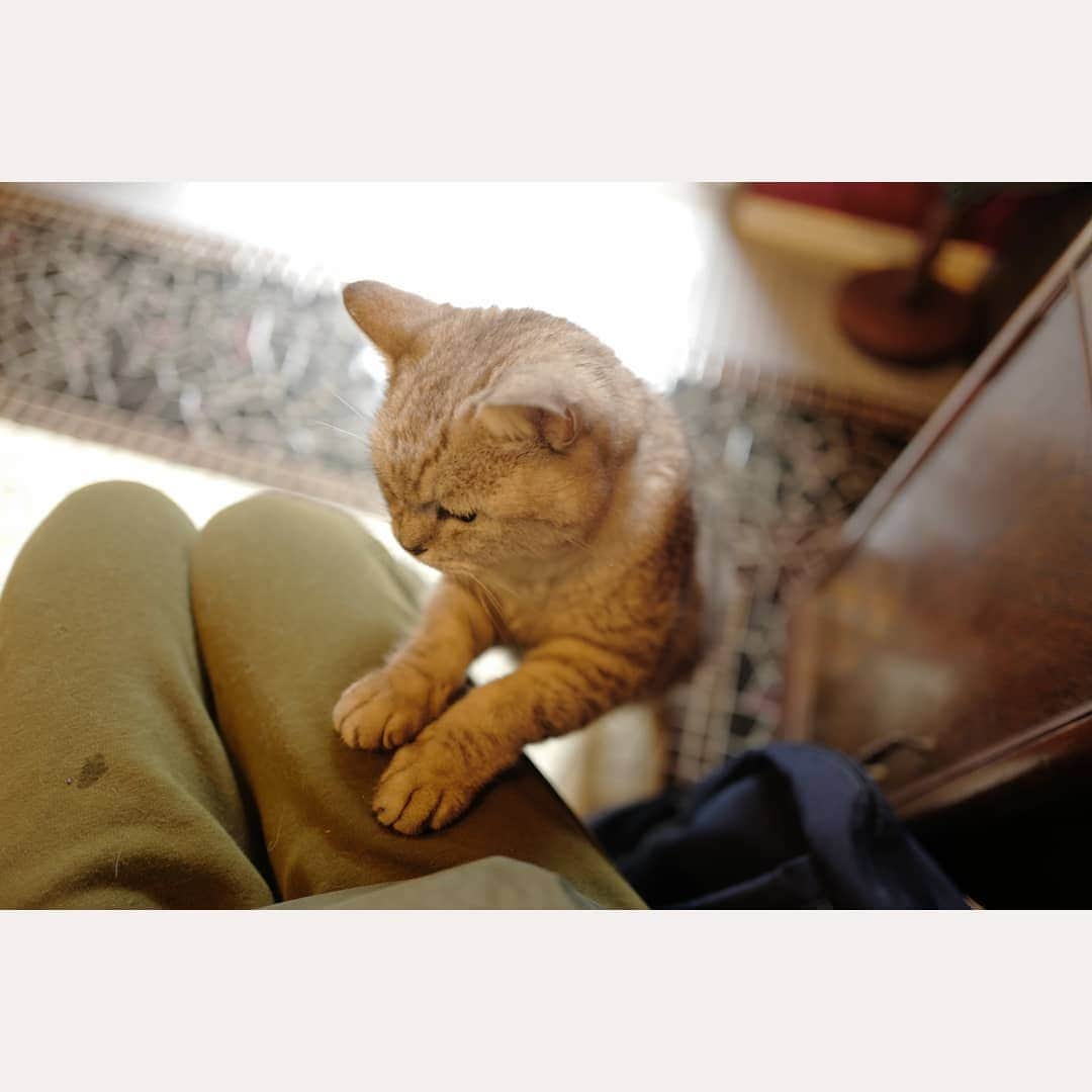 花澄のグルメインスタ