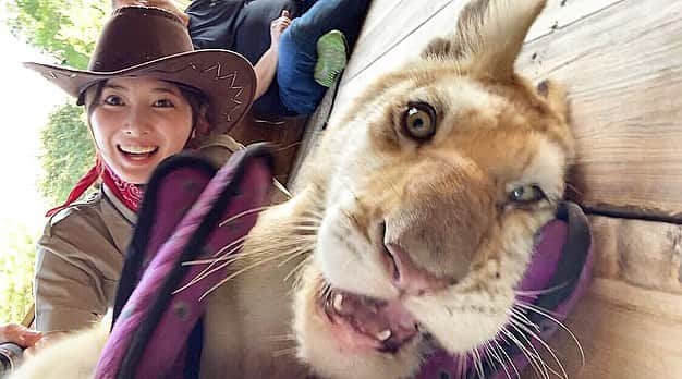 大石絵理のインスタグラム：「エリゴロウさん🐯🦁🐘💓🌈」