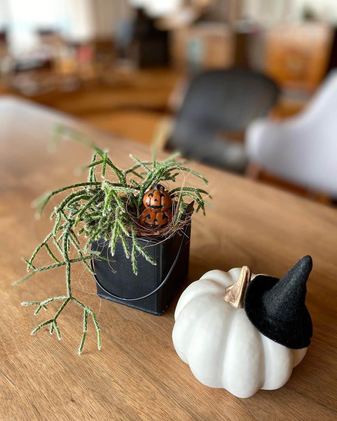 祥吉のグルメインスタ