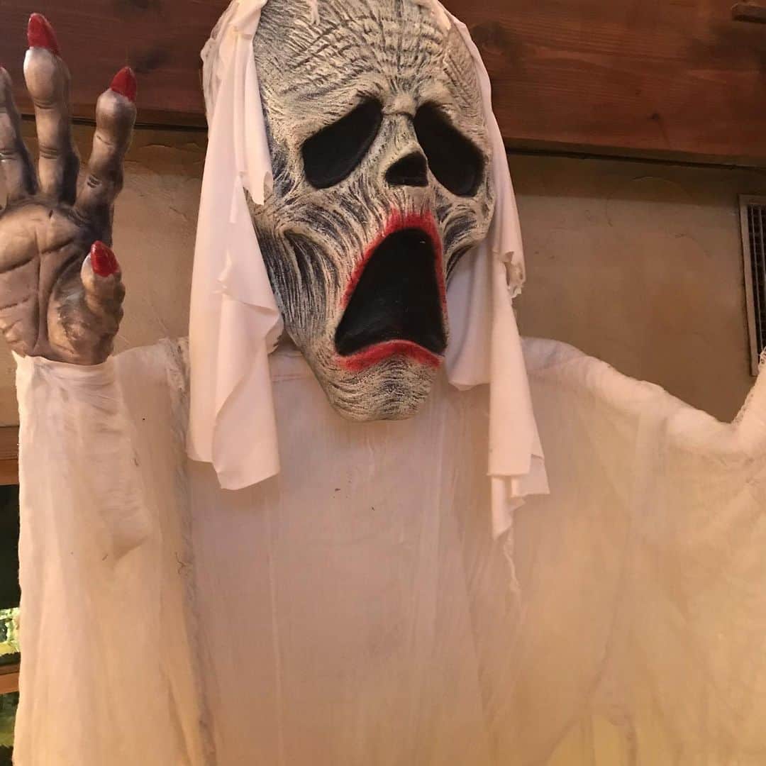 ゼストキャンティーナのグルメインスタ