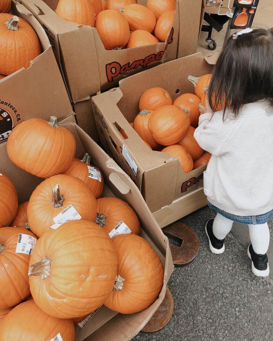 山中美智子さんのインスタグラム写真 - (山中美智子Instagram)「Halloweenが大好きなんだって🎃  頭には宝物のユニコーン🦄をつけてルンルンです💕」10月24日 15時39分 - alexiastam1988