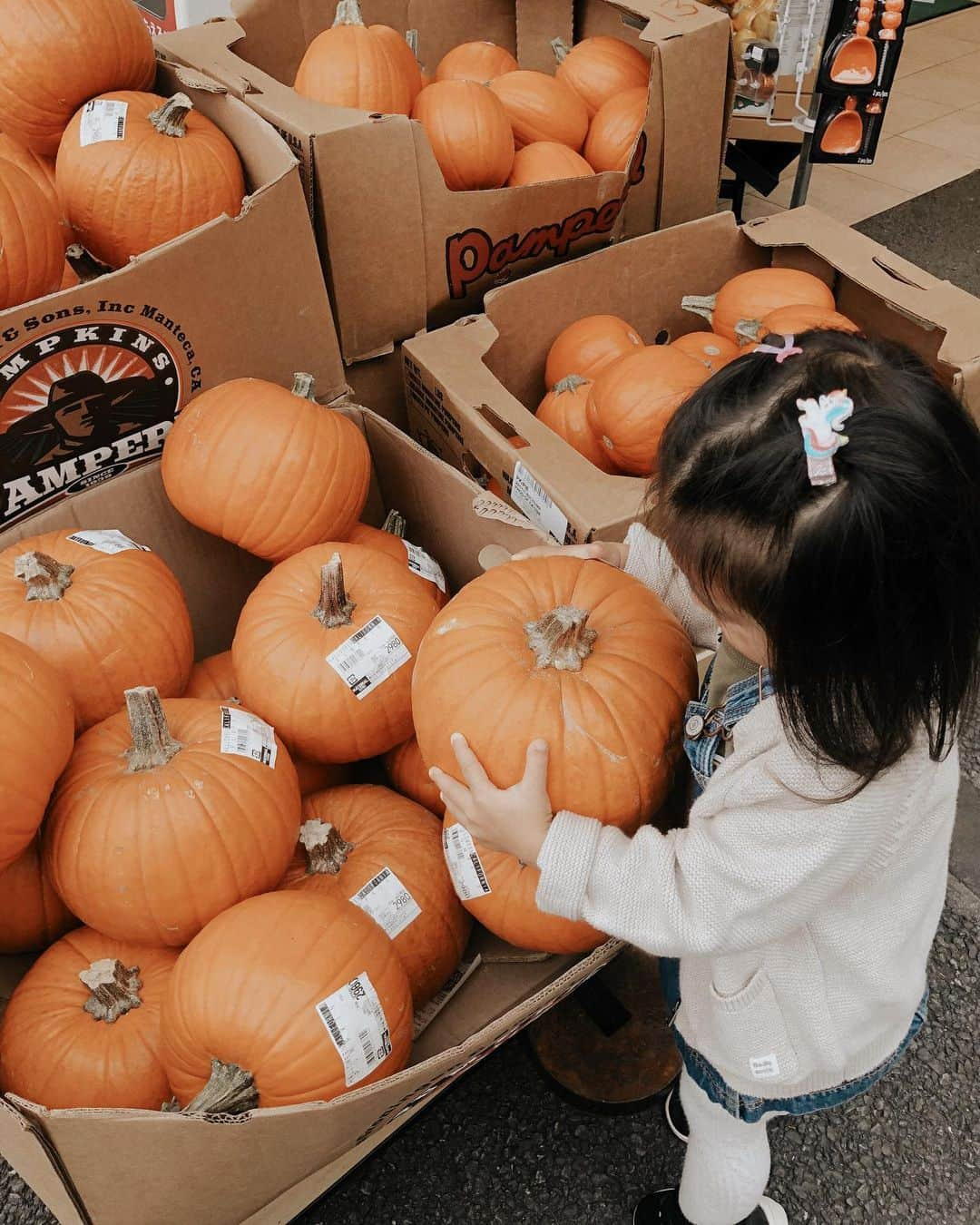 山中美智子さんのインスタグラム写真 - (山中美智子Instagram)「Halloweenが大好きなんだって🎃  頭には宝物のユニコーン🦄をつけてルンルンです💕」10月24日 15時39分 - alexiastam1988