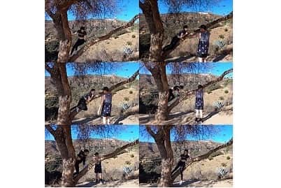 ウー・シンティーさんのインスタグラム写真 - (ウー・シンティーInstagram)「原本想要光著腳丫在樹上唱歌  但 ⬅️⬅️⬅️ 我真的爬不上去。 ⛰️ #Hollywood 爬山日 🇺🇸 Day8 #爸爸叫我去試鏡 #緹の旅行」10月24日 15時41分 - esther_xinti