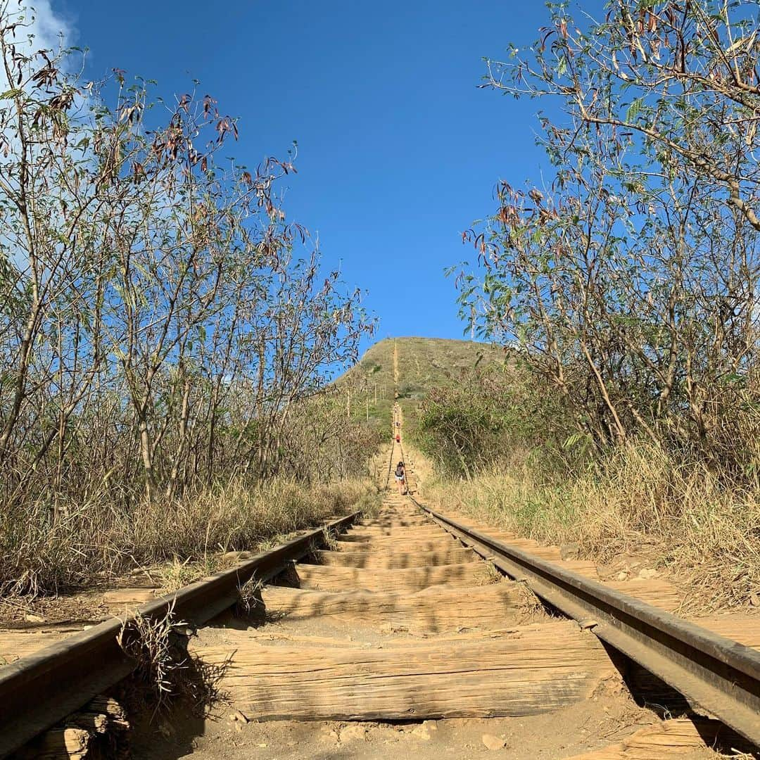 松浦孝亮さんのインスタグラム写真 - (松浦孝亮Instagram)「ハワイで登ってみたい山 #kokohead」10月24日 15時58分 - ko_matsuura