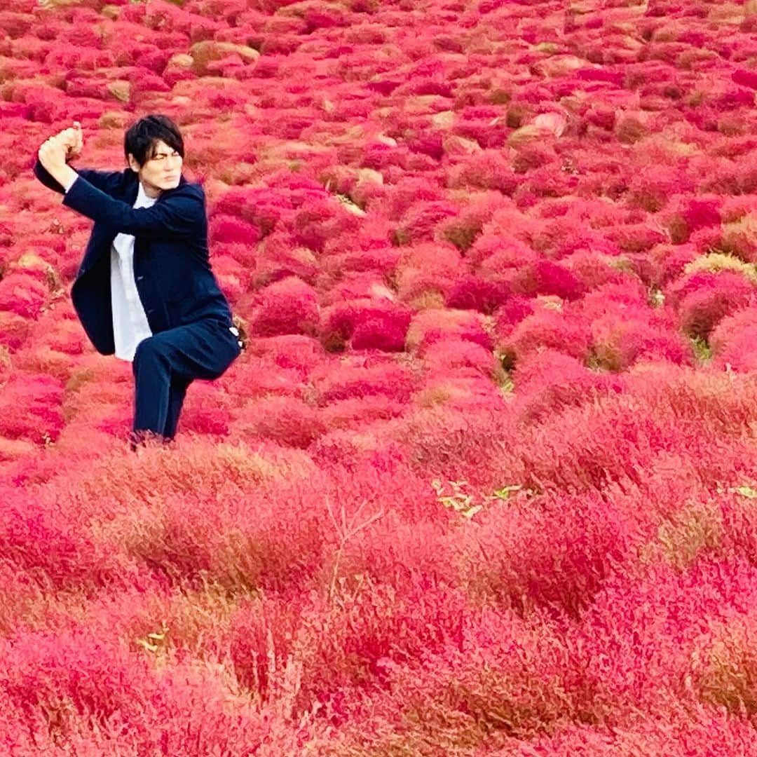 上重聡さんのインスタグラム写真 - (上重聡Instagram)「国営ひたち海浜公園にバゲットの中継で行って来ました！見頃を迎えた赤いコキア。 ピッチングフォームもバッティングフォームを映えます⚾️ #バゲット　#ひたち海浜公園 #コキア」10月24日 18時20分 - satoshi18kamishige