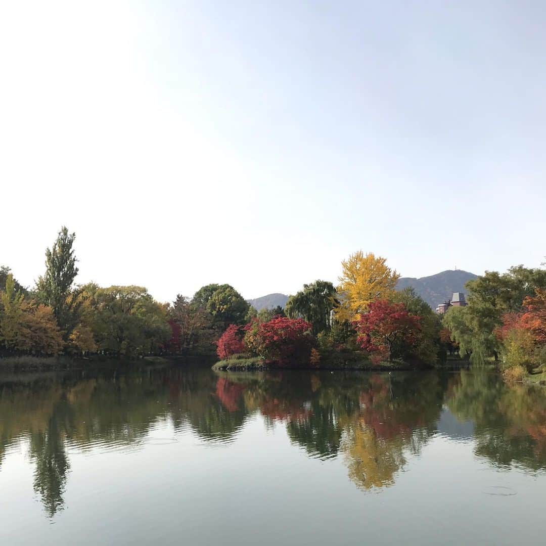 のインスタグラム：「札幌市内は紅葉のピーク！  #札幌 #中島公園 #紅葉 #気象予報士 #神田昭一」