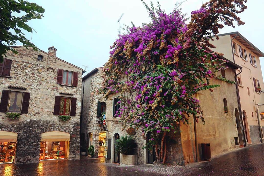 ルピン・ワンのインスタグラム：「Nice to be Verona for work , walk around a bit in the little town when i have leisure time , feel so chill in this rainy day. ☔️」