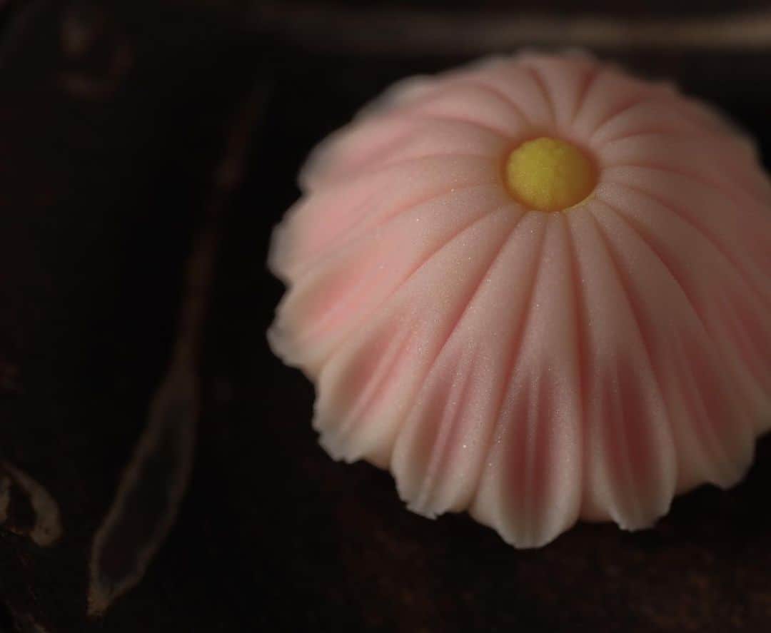 Toru Tsuchieのグルメインスタ