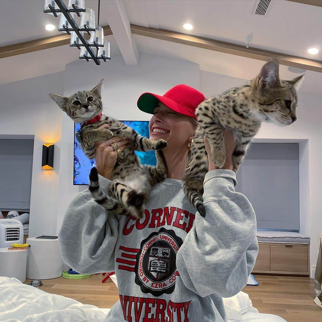 ジャスティン・ビーバーさんのインスタグラム写真 - (ジャスティン・ビーバーInstagram)「Follow my CAT FAMILY @kittysushiandtuna」10月10日 9時20分 - justinbieber