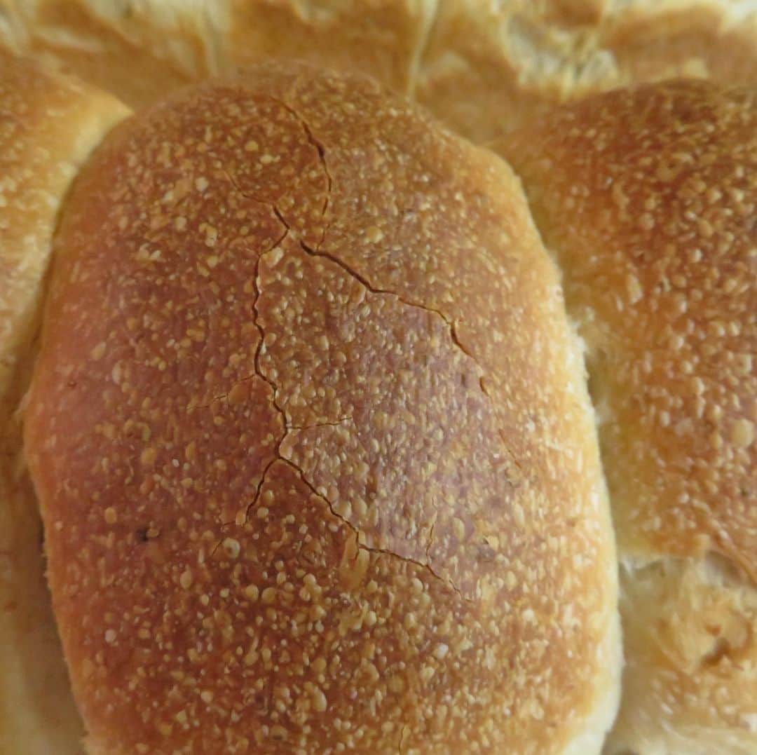 魔女菅原さんのインスタグラム写真 - (魔女菅原Instagram)「ゆきちから山食✨  シンプルな材料の組み合わせですが、あきのこない主食パンです。  トップのピキピキ具合がよく焼けた証拠♪  #ゆきちから山食 #自家製天然酵母のパン屋さんカンパーニュ  #レーズン酵母のみで焼き上げる山食  #のだ塩を使っています  #自家製天然酵母のパン屋さんカンパーニュ  #魔女菅原」10月10日 10時04分 - hatsuyosugawara