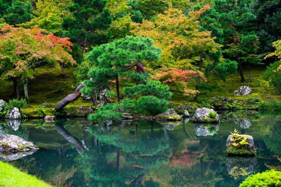 National Geographic Travelさんのインスタグラム写真 - (National Geographic TravelInstagram)「Photo by Michael Yamashita @yamashitaphoto | It is easy to see why Tenryu-ji was designated as a Special Place of Scenic Beauty by Japan and also made a UNESCO World Heritage site. The temple and garden date back to 1345, when the original construction was completed. Sogenchi garden has a path surrounding the pond that allows guests to appreciate the scenery from a variety of perspectives. #Tenryuji #Kyoto #Japanesegarden」10月10日 21時08分 - natgeotravel