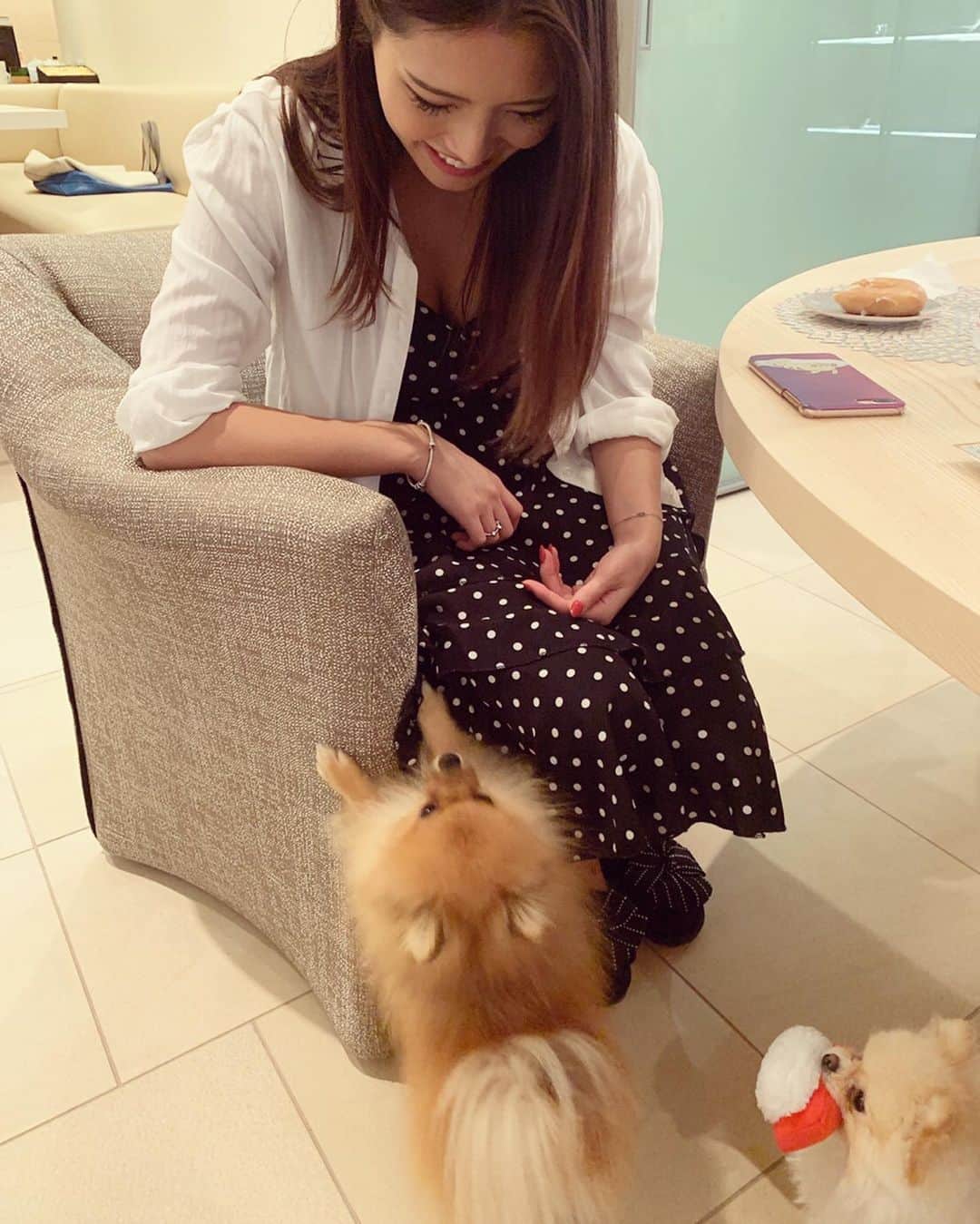 MIKAさんのインスタグラム写真 - (MIKAInstagram)「わんこ日記🐕💞💞 グルルルルって怒っててもカメラ向けた瞬間笑顔になるモデルのぐみたん🦁 今回ソロ写真なくて２枚目でお気に入りのおもちゃ🍣くわえて写り込んでるいつもベロ出ちゃうちくわたん👅 わたしの足の上に座るけどお利口さんな新入りまぐろたん🐟 愛で愛で… 癒 次はみんなでハロウィンパーティーするのよ🎃🎶 #dayoff #doglove #puppies #friends」10月10日 19時36分 - cjd_mika