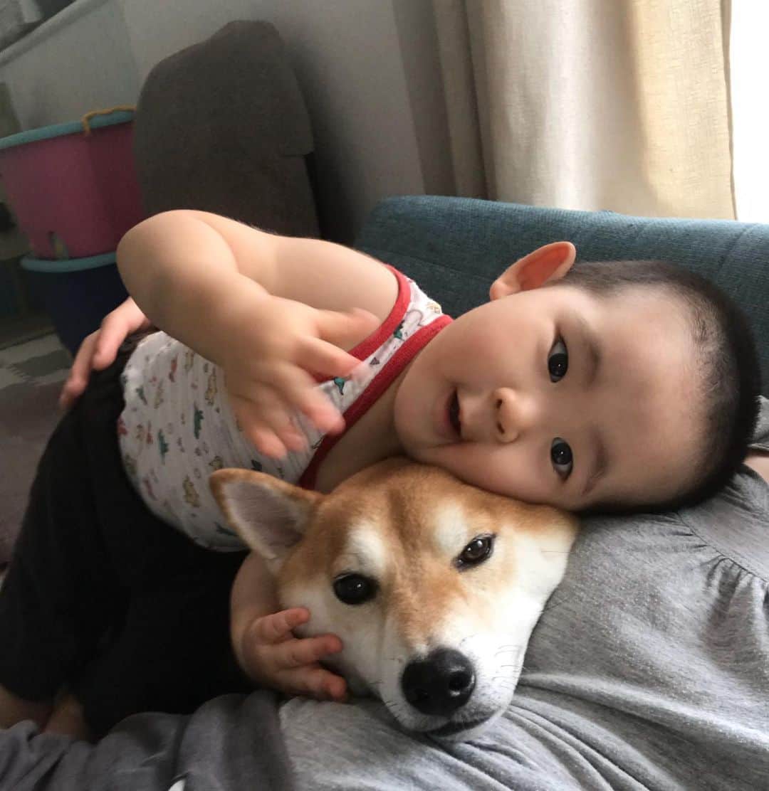 高橋みゆきのインスタグラム：「癒し🐶💖👶 #クラ吉と心ノ祐 #たまらん」