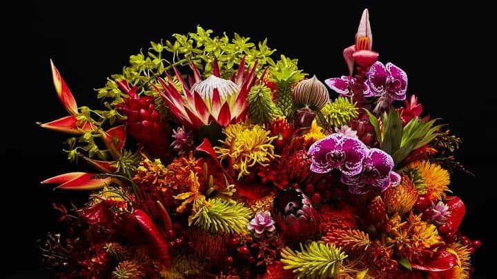 椎木俊介のインスタグラム：「Flowers  #azumamakoto #makotoazuma #shiinokishunsuke #amkk #amkkproject #flowers #flowerart #東信 #東信花樹研究所 #花  #timelapse #60秒 #60s」