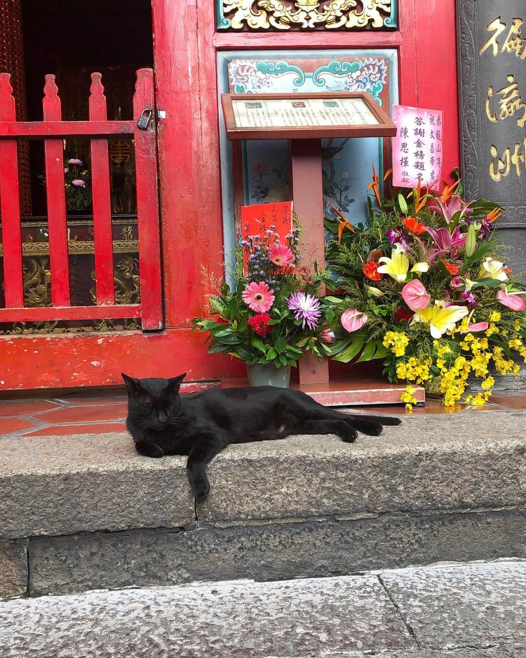 一柳夢吾さんのインスタグラム写真 - (一柳夢吾Instagram)「✔︎龍山寺  #龍山寺 #taiwan#taipei#taiwanlife#taiwantrip#台湾#台北」10月10日 14時34分 - yugo_ichiyanagi