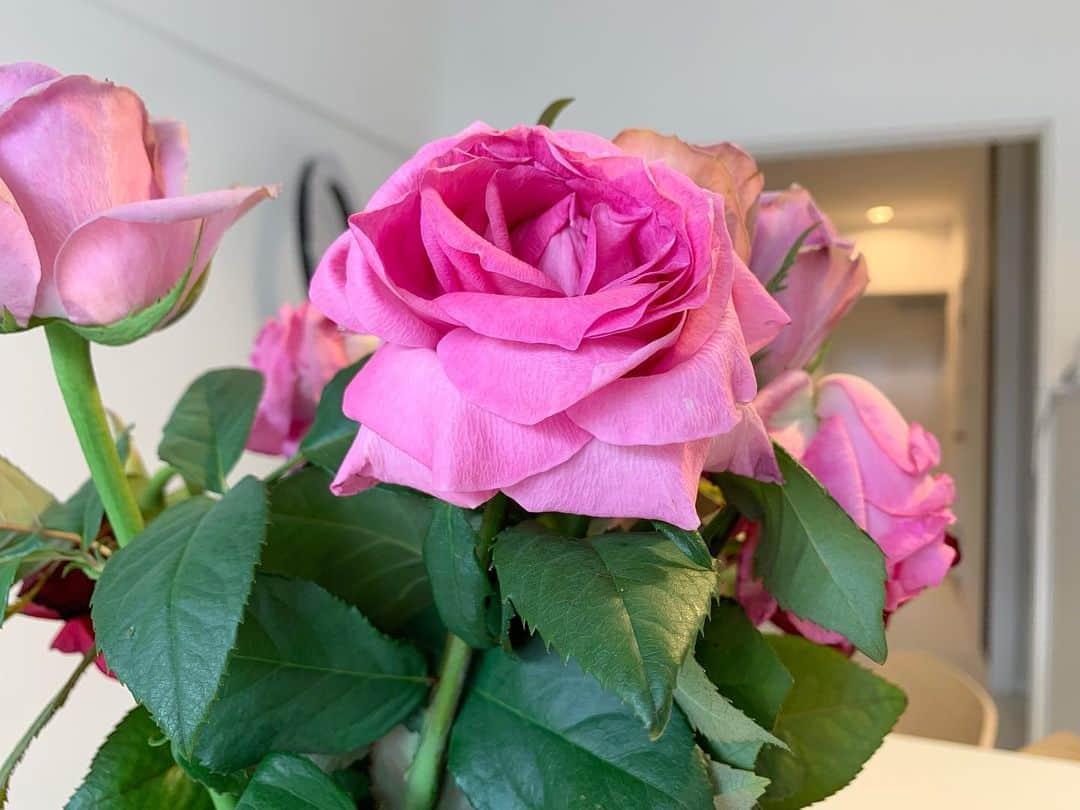 中林美和さんのインスタグラム写真 - (中林美和Instagram)「しおれていく過程も どんなときも美しく優雅な薔薇。 自然の美しさには敵わないね💓」10月10日 14時54分 - miwanakabayashi