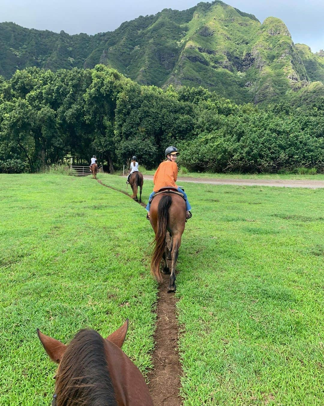 久保雄司さんのインスタグラム写真 - (久保雄司Instagram)「day 3  マイペースなシェイ君🐴は 時には激しかった🏇w  クアロアランチ 楽しかった🦖  #全力honeymoon」10月10日 16時17分 - six_kuboyuji