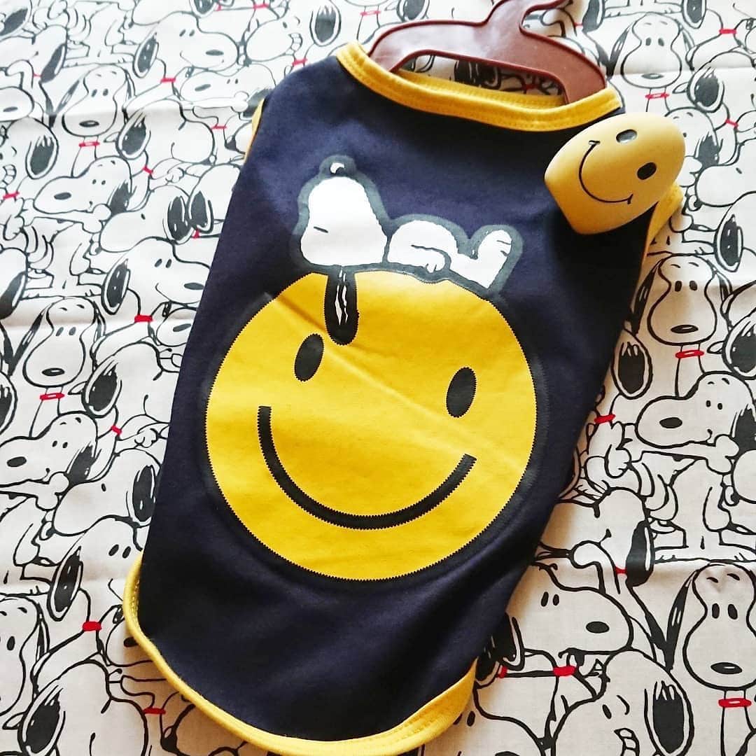 シャンブルオフィシャルのインスタグラム