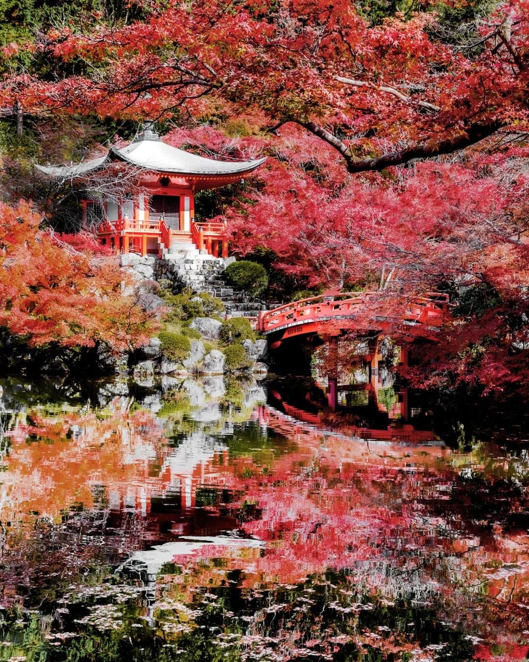 のインスタグラム：「. In early November, stunning fall colors begin to fill up the mountainside of Daigoji Temple in Kyoto.  Why not swing to see for yourself? 📝#UncommonOctober . 11月上旬、山頂から少しずつ色づきはじめる醍醐寺🍁 秋の旅リストに追加してみては？ 📝 . . photo by @loic.lagarde Post your memories with #FlyJAL . #JapanAirlines #japan #kyoto #daigoji #autumncolors」