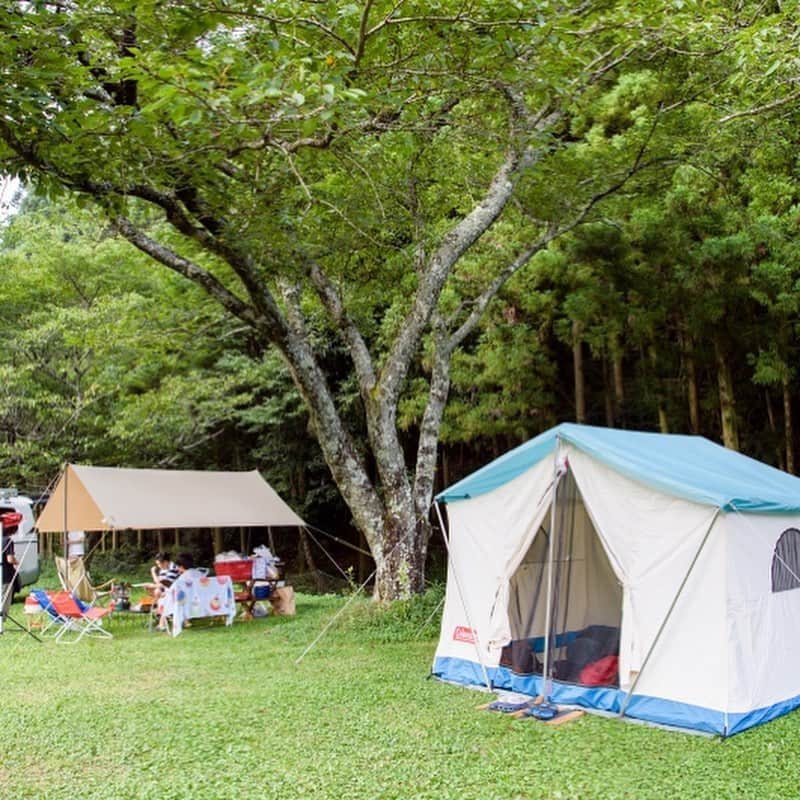 キャンプ情報サイト［ランタン］さんのインスタグラム写真 - (キャンプ情報サイト［ランタン］Instagram)「CAMP SMILE STYLE ／ コールマンのオアシステント、 ヴィンテージアイテムで サイトコーディネート ＼ いろんなキャンパーのキャンプスタイルを現地取材と一般キャンパーからの投稿で数多く掲載してます。 . . 詳しくは @lantern.camp  webサイトをご覧ください . . #camp #camping #outdoor #travel #trip #lantern_smile #nature #キャンプ #キャンプ用品 #アウトドア #テント #自然 #旅行 #キャンプ初心者  #キャンプ好きな人と繋がりたい #ハイマート佐仲 #コールマン #オアシステント #タトンカタープ #スチールベルトクーラー #ファミリーキャンプ #ファミキャン」10月10日 17時49分 - lantern.camp