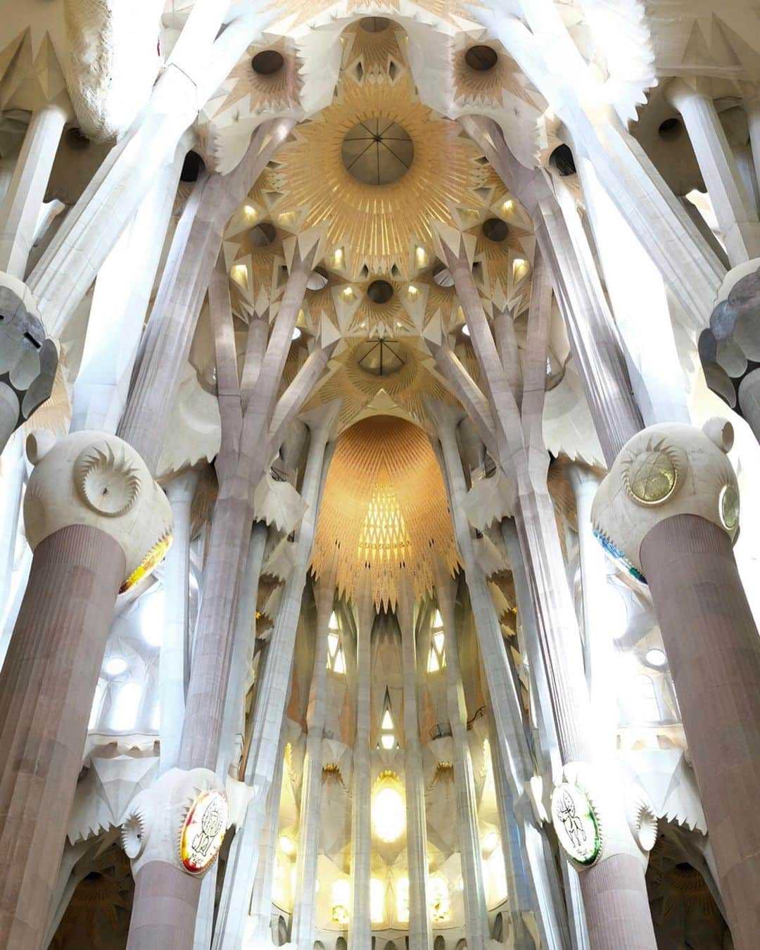 武智志穂さんのインスタグラム写真 - (武智志穂Instagram)「📍Sagrada Família﻿ ﻿ 着工から100年以上が経過しても今なお建設途中という、珍しい世界遺産サグラダ・ファミリア。﻿ 言わずと知れたガウディの最高傑作。﻿ ﻿ 想像以上に凄かった。素晴らしかった。﻿ 人間が作ったものにこんなにも衝撃を受けたことは初めての経験でした。﻿ 壮大で神々しくて、あまりの美しさに言葉を発するのも息をするのも忘れて、持って行った双眼鏡で隅々までじっくりと鑑賞すること数時間。﻿ いくら時間があっても足りなかった…！﻿ ガウディの没後100年にあたる2026年に完成予定みたい。﻿ 完成したサグラダ・ファミリアも楽しみだな〜✨﻿ ﻿ 朝から並んでもチケットが取れなかった…、せっかく来たのに中に入れずに帰る羽目になった…等を耳にしたので、訪れる際には事前にオンラインでチケットを購入しておくことを強くお勧めします。﻿ 旅行中は特にTime is money ですしね！ ﻿ ﻿ #志穂sTrip #spaintravel #Barcelona #sagradafamilia #antoniogaudi #gaudiarchitecture」10月10日 18時56分 - shiho_takechi