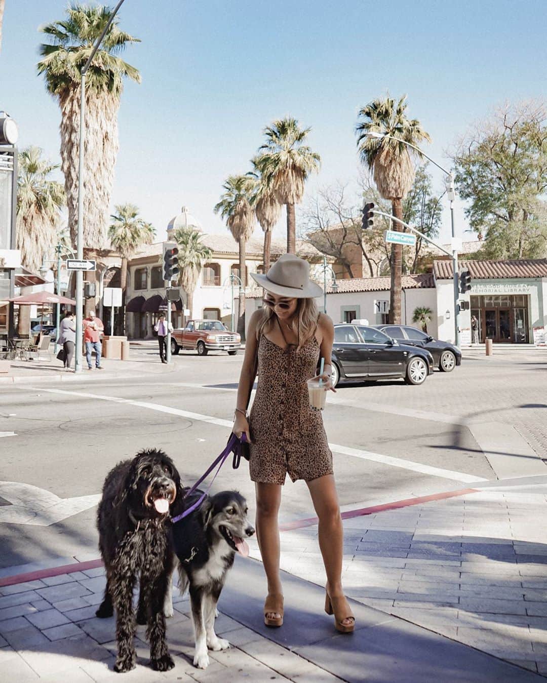 Manamiのインスタグラム：「🐶🐶🌴🌴🌴 道にいたわんちゃんが可愛すぎてずっと一緒に遊んでたら 飼い主のおじちゃんがリード渡してくれた😂💕 将来はおっきい犬飼いたいなぁ🐶💕 ㅤ hat @brixton @brixtonwomens one-piece @hm sandal @urbanoutfitters watch @breitling @breitling_japan ㅤ 📸 @ailove_la」
