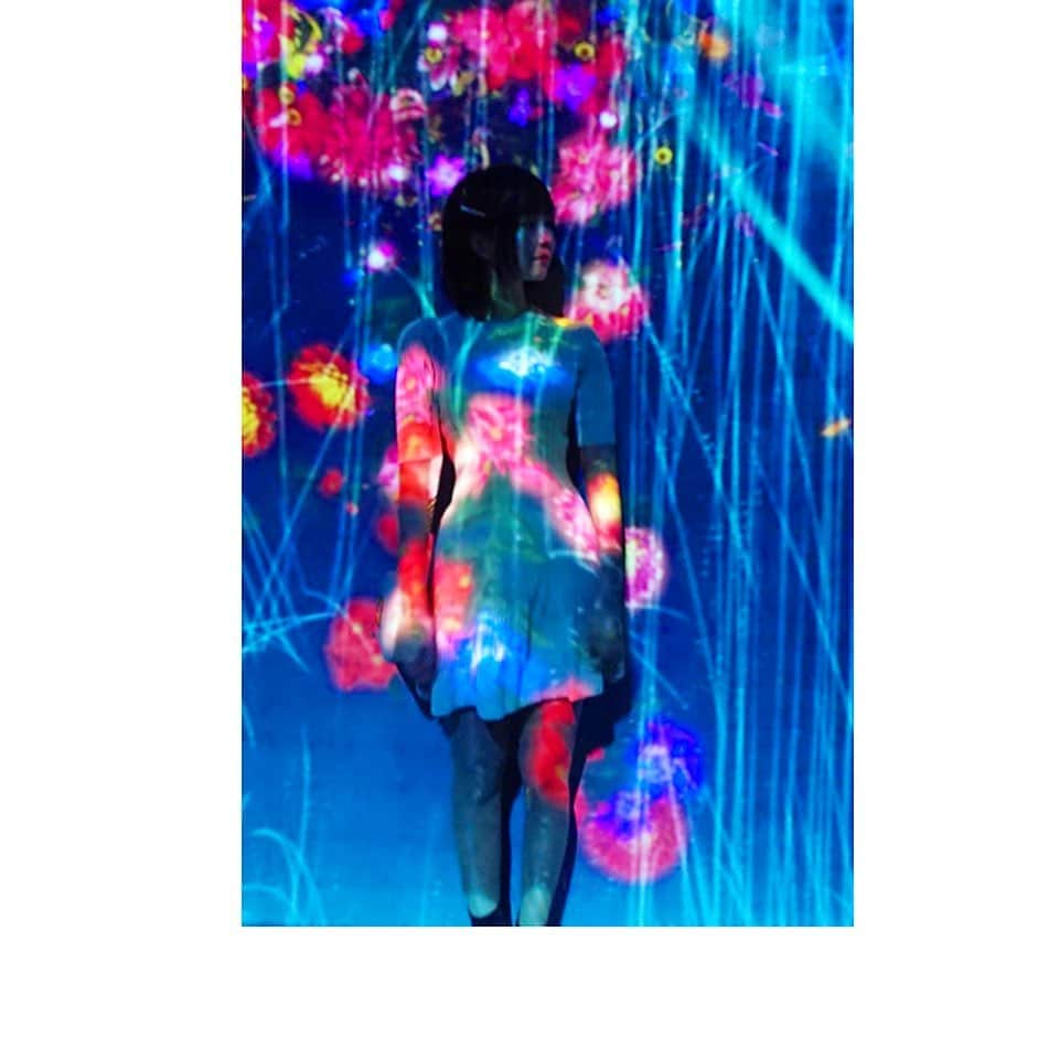 九条ねぎ あぴるさんのインスタグラム写真 - (九条ねぎ あぴるInstagram)「@teamlab  #teamlab #tokyo #お台場　#odaiba #art #japan」10月10日 23時01分 - negi_kujyo