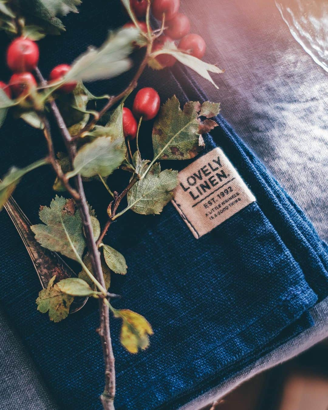 Our Food Storiesさんのインスタグラム写真 - (Our Food StoriesInstagram)「Werbung|Advertisement We teamed up with @lovely.linen again to show you more of their beautiful linen collection ✨ All linen products that you can see in the pictures are from lovely linen - they were the perfect addition to our cozy and autumnal greenhouse gathering 🌿✨ We wish you all a lovely day guys! #lovelylinen _____ #tablelinen #tabledecoration #tablesetting #greenhouselove #fellowmag #verilymoment #glutenfreerecipes #glutenfri #glutenfrei #foodphotographer #autumnmood #autumnvibes #pierecipe #glutenfreepie #simplejoys」10月10日 23時12分 - _foodstories_