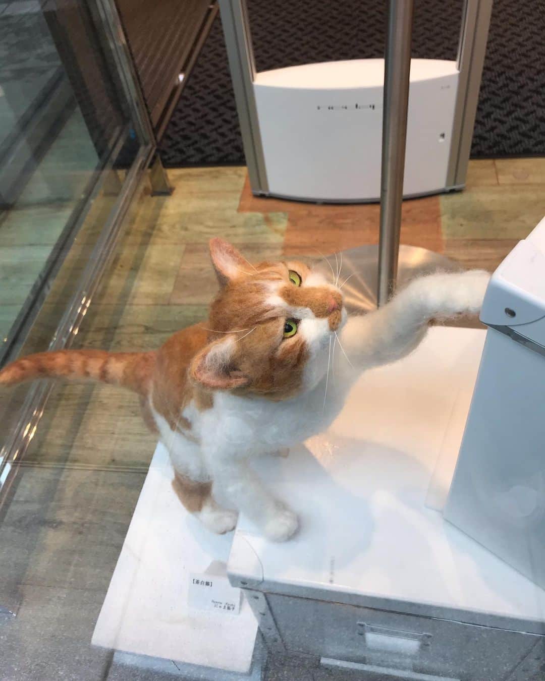 江口寿史さんのインスタグラム写真 - (江口寿史Instagram)「ユニクロのウィンドウにマネちゃんが！と思ったらフェルトで作った猫だった。」10月11日 14時18分 - egutihisasi