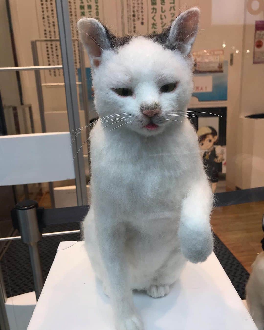 江口寿史さんのインスタグラム写真 - (江口寿史Instagram)「ユニクロのウィンドウにマネちゃんが！と思ったらフェルトで作った猫だった。」10月11日 14時18分 - egutihisasi