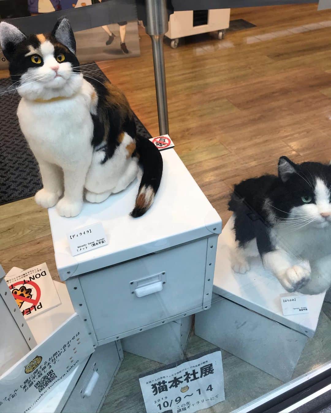 江口寿史さんのインスタグラム写真 - (江口寿史Instagram)「ユニクロのウィンドウにマネちゃんが！と思ったらフェルトで作った猫だった。」10月11日 14時18分 - egutihisasi