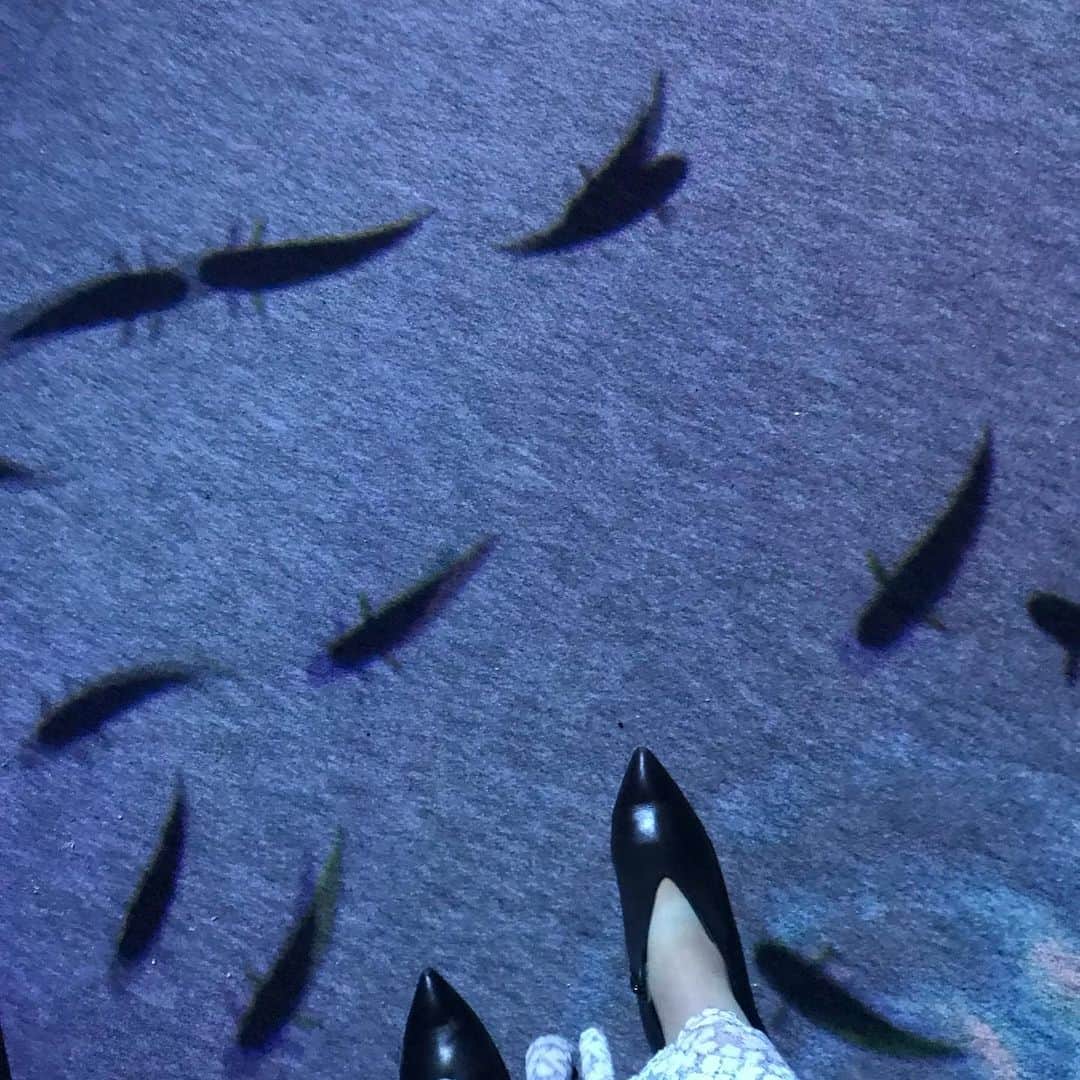 名越涼子さんのインスタグラム写真 - (名越涼子Instagram)「🐢現代版 竜宮城で浦島太郎気分🐢  手の中からクラゲがぐるぐる出現。 魚の大群に、自分が魚に大変身。  竜宮城のような、宇宙のような、神秘的で不思議な空間。  一一一一一一一一一一一一一一一一一 きょうから横浜のアソビルで開催される 《OCEAN BY NAKED 光の深海展》 テレ朝事業番組のロケと内覧会司会で 一足先に神秘的な海の世界へ。  ネイキッドの村松亮太郎と アカツキライブエンターテインメントの小林将さんと ご一緒させていただきました🙋‍♀️ ・ ・ ・ ・  その昔NAKEDのデジタルアート展を観に行った時に すっかり彼らの世界観に魅了されたわたし。  おもちゃ箱をひっくり返したような はたまた宝石箱の中に迷いこんだような  とてつもなく幻想的なのだけど どことなく懐かしさを感じるのはきっと 小さい頃憧れた夢の世界が 目の前にあらわれたからかもしれない。  光と影、音と香りと、そこに自分。 あらゆるコントラストがおもしろいんだな。  光の深海展。 一回じゃ載せきれない写真がてんこもり。 五感を全開にしてぜひ🙋‍♀️ ・ ・ ・ 一一一一一一一一一一一一一一一一一 #ロケ#司会#衣装#noela#🎤#mc#report #テレ朝#イベント #ネイキッド#naked#oceanbynaked  #アソビル#横浜#art#デジタルアート  #digitalart#dijital#yokohama #sea#ocean#芸術#芸術の秋 #海#深海#beautiful#beautifulworld  幻想的#神秘的#美しい」10月11日 7時57分 - nagoshi_ryo