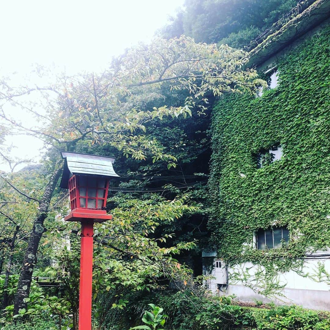 ひうらさとるのインスタグラム：「久々に徹夜に近い進行になったけど、千葉在住のアシちゃんに週末仕事してもらうことにならなくて良かった…。 皆さまも大型台風、十分お気をつけ下さい！ 私はちょっと寝て、また次のお仕事しまーす。」