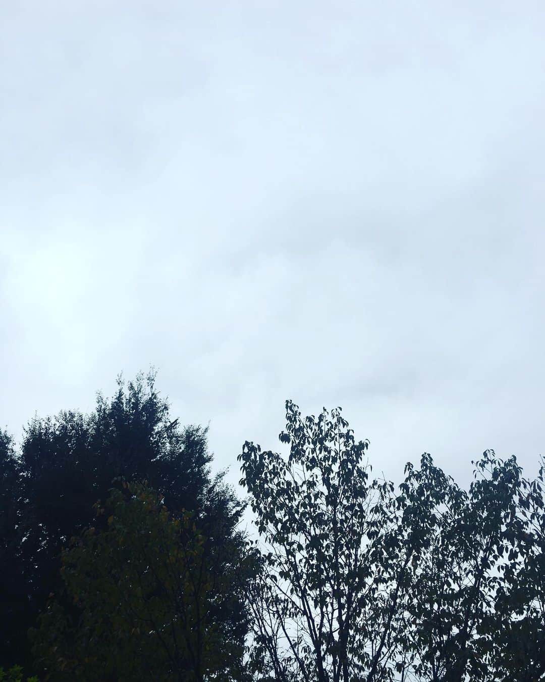 矢井田瞳さんのインスタグラム写真 - (矢井田瞳Instagram)「台風19号が近づいて大変心配ですね。 備え＆対策をし、無茶な行動は控えるようにしようと思います！ 皆さまもお気をつけて…！」10月11日 9時08分 - hitomi_yaida
