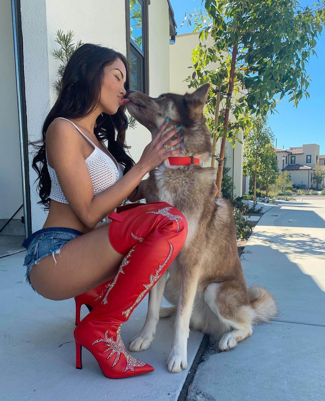 Maddy Belleのインスタグラム：「Missin my baby @wolfyraka 💙 Do you guys have any pets?」