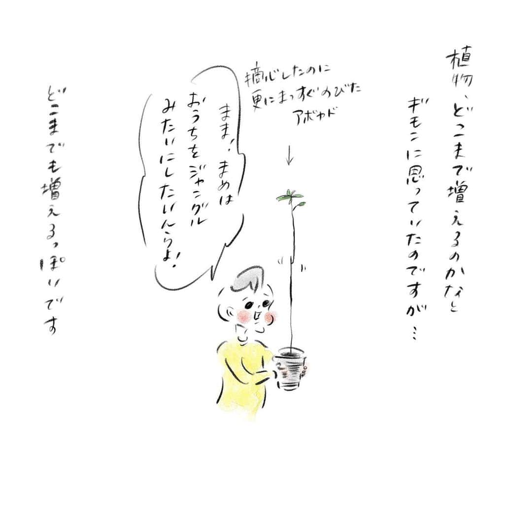 横峰沙弥香さんのインスタグラム写真 - (横峰沙弥香Instagram)「ジャングルにされるのか！ #発芽ボーイ #アボカド #大きくなりました #まめちゃん #ゆめこ #兄妹 #こども #家族 #きょうの息子 #きょうの娘 #絵日記 #イラスト #clipstudio #ipadpro #applepencil 芽を摘んだのに脇芽が更に真っ直ぐに伸びて不安定に…… 次は様子を見ながら添え木」10月11日 9時32分 - sayakayokomine