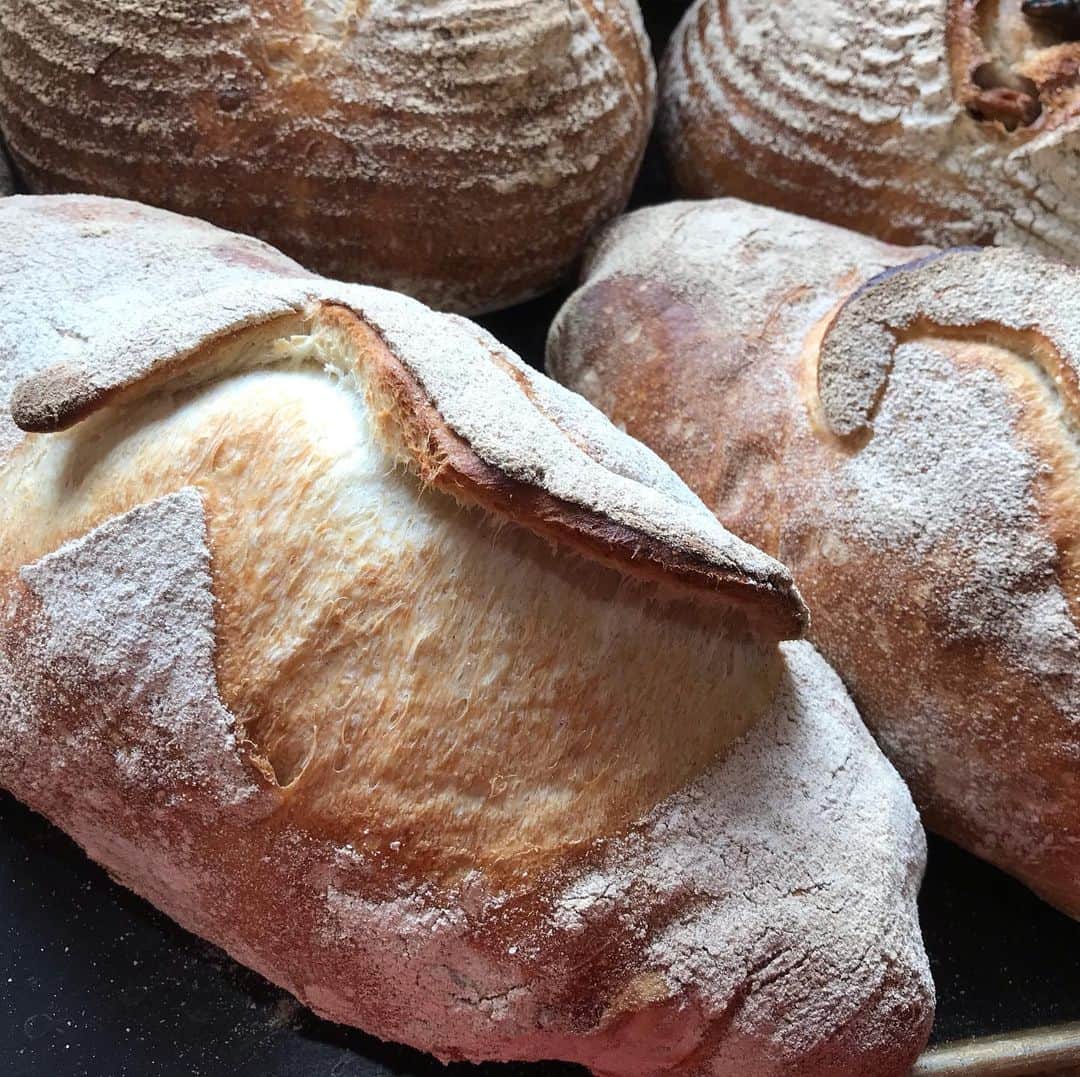 魔女菅原のグルメインスタ