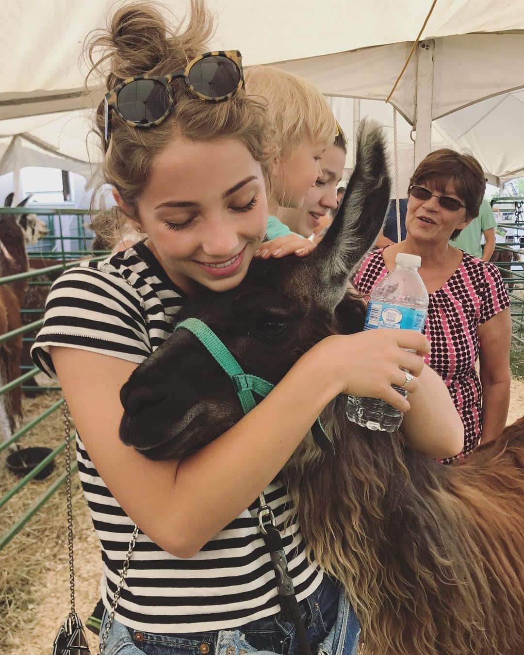 エミリー・ラッドのインスタグラム：「never met a llama i didn’t like」