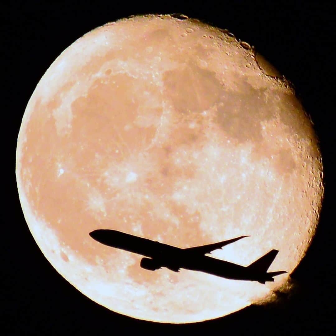 のインスタグラム：「. With autumn comes beautiful sights of the moon. Look up and you might catch the silhouette of a plane! ✈︎ #UncommonOctober  秋の夜空を見上げると 月に飛行機のシルエットが見えるかも？✈︎︎ 🌖 . . photo by @y.o.oshima Post your memories with #FlyJAL  #JapanAirlines  #travel #airplane #moonshot #momentofmine」
