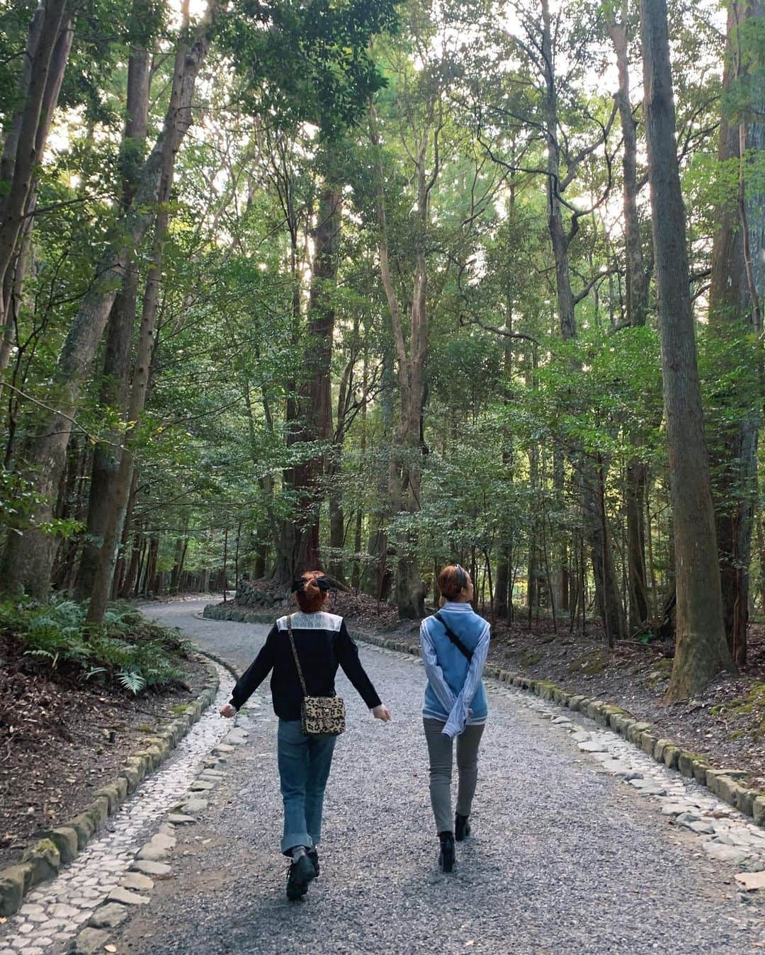 瀬戸あゆみさんのインスタグラム写真 - (瀬戸あゆみInstagram)「伊勢女子旅2日目👭﻿ 伊勢に来たら、伊勢神宮！⛩﻿ 伊勢神宮には外宮と内宮があって、1日目に行ったのは駅から近く行きやすい外宮。﻿ もっととても広くていわばメインの方が内宮。で、2日目の始まりはこちらから。﻿ 広大な敷地の中に、美しい森林や川があり、歩いているだけで自然を感じれてとても癒されます。﻿ とにかく全てが歴史深く、侘び寂びであり、素晴らしく、荘厳で優雅。﻿ 最後に見た池に泳いでいた鯉も大きくて優雅で豊かさを感じた。笑﻿ ﻿ "お伊勢さんには死ぬ前に一度は訪れたい"。﻿ そんなことをよく言うけど、若者のわたしでもそうするべきだと感じた。﻿ そして外国人にもぜひ訪れて日本の素晴らしさを感じてほしい。﻿ ﻿ わたしはよく海外に行くので、余計に色々なことを感じ取り、日本人であることを誇りに感じました。﻿ #ええとこ伊勢﻿ #伊勢﻿ #伊勢観光﻿」10月11日 13時32分 - setoayumi