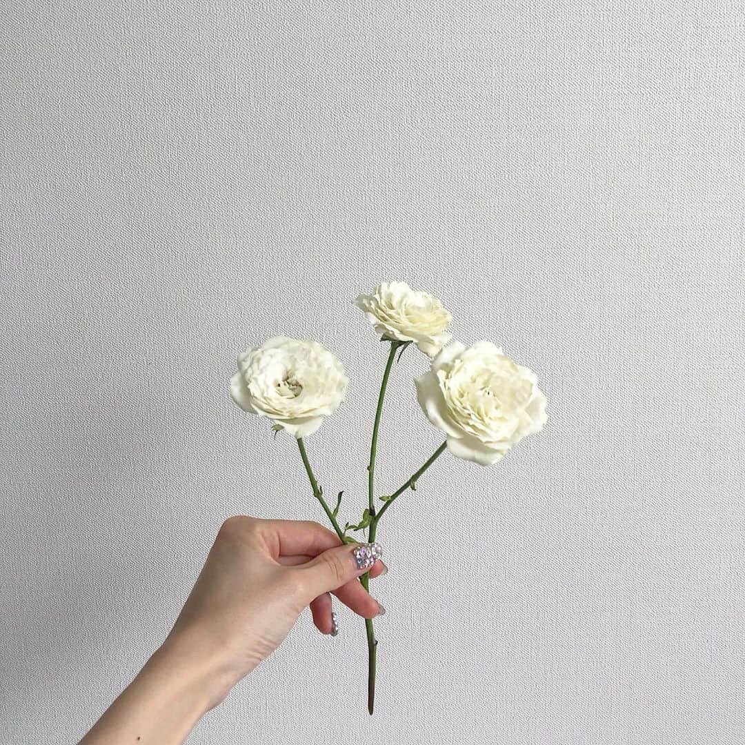 糸原美波さんのインスタグラム写真 - (糸原美波Instagram)「ベッドの横においてたバラが 綺麗に咲いてくれた　🥀」10月11日 13時44分 - minami_itohara