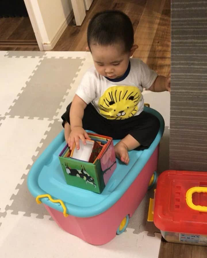 高橋みゆきのインスタグラム：「それ乗るとこじゃないよ😅💨満足気な心坊💕嬉しそうな顔😍 #オモチャ箱 #こんな使い方もある #わけないよね #この3分前にそこから落ちたのに #学習能力は😕」